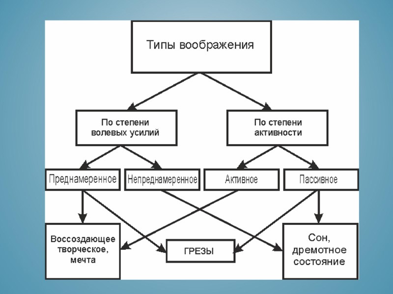 Виды воображения схема