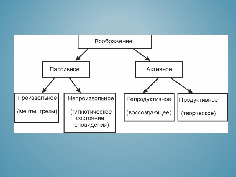 Виды воображения пассивное активное