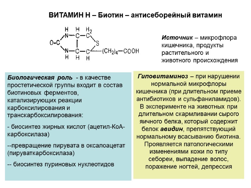 Биосинтез витаминов. Биотин структура витамин. Витамин в7 биологическая роль. Витамин биотин биохимические функции. Синтез жирных кислот биотин.