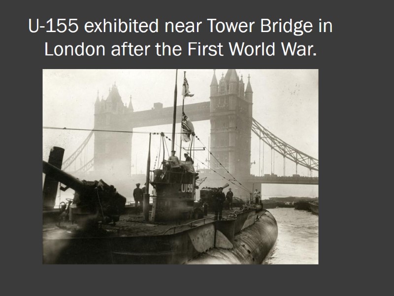Britain In The First World War World War
