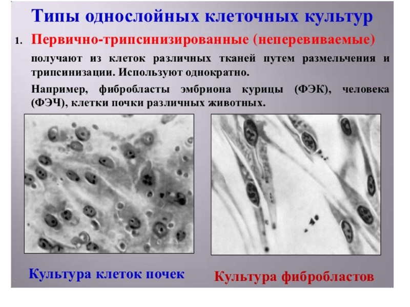 Диагностика вич картинки