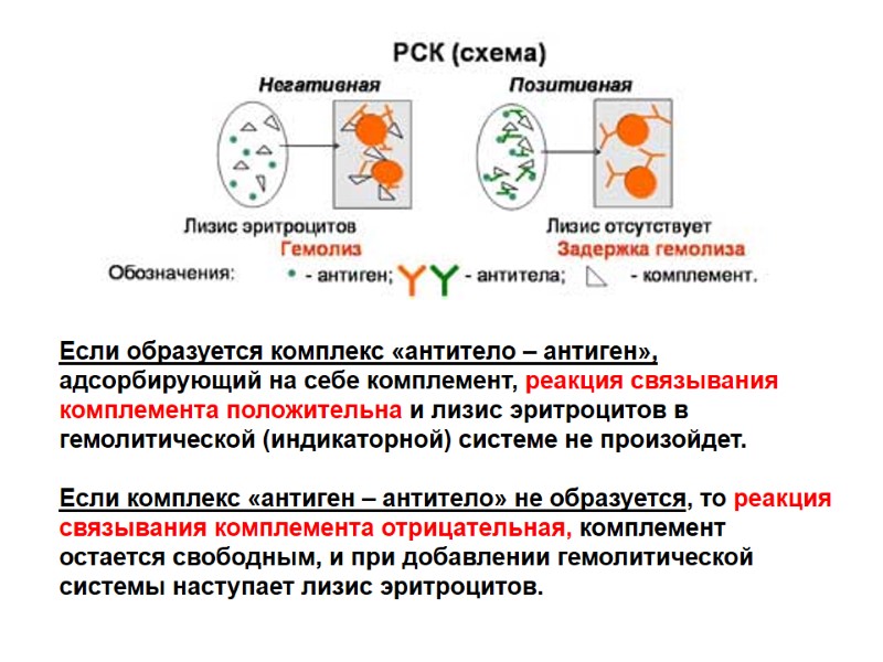 Методы микробиологической диагностики вирусных инфекций презентация