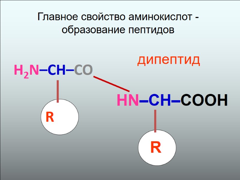 Аминокислоты пептиды белки презентация