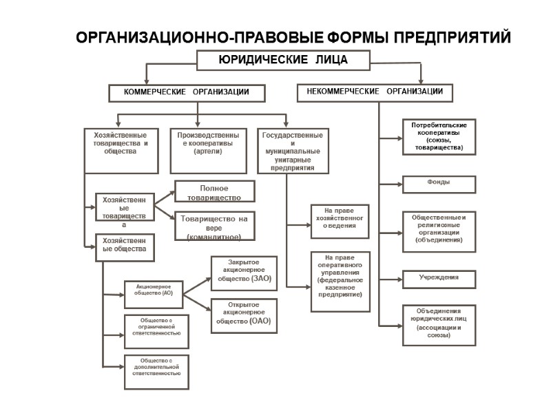 Организационно правовые формы план егэ