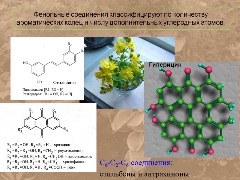 Фенольные соединения фото