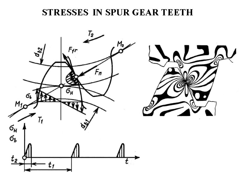 CALCULATION OF STRAIGHT SPUR GEARS FOR STRENGTH FORCES