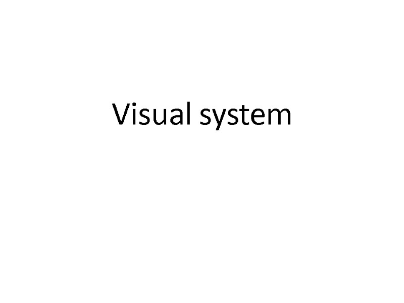 Visual System Simple Image Visual system Structure The eye, especially the retina