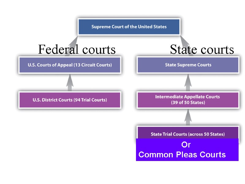 THE US COURT SYSTEM In pictures with explanations