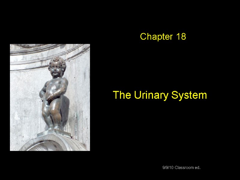 The Urinary System Chapter 18 9/9/10 Classroom ed.