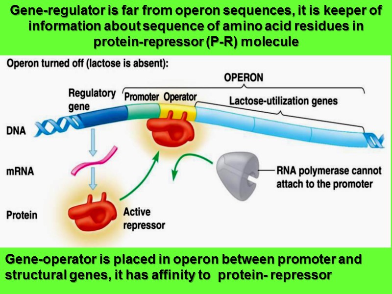 Gene Expression Regulation Fundamentals of Biochemistry of Hormones