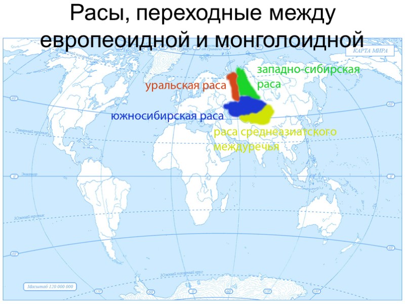 Европеоидная раса рисунок