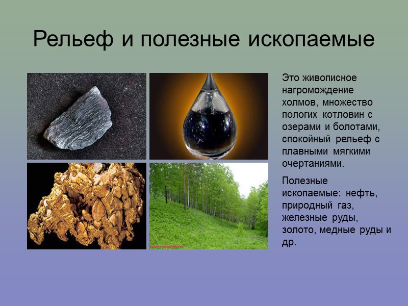 Зона смешанных лесов Физико-географическое положение В России смешанные