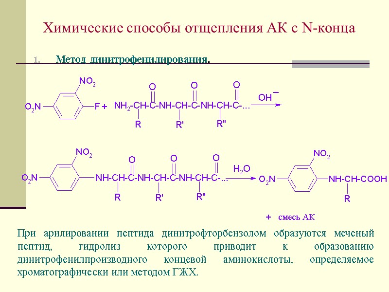 Аминокислоты пептиды белки презентация