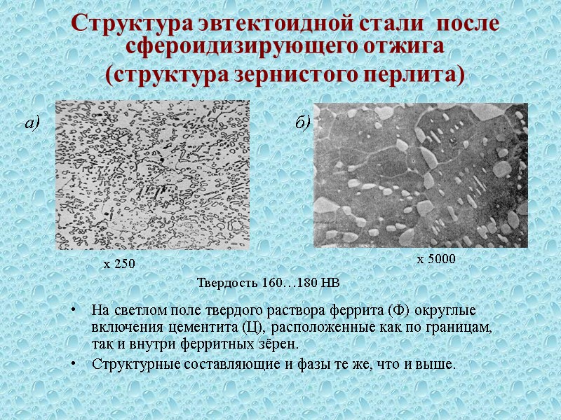 Как называется линия se на диаграмме fe c