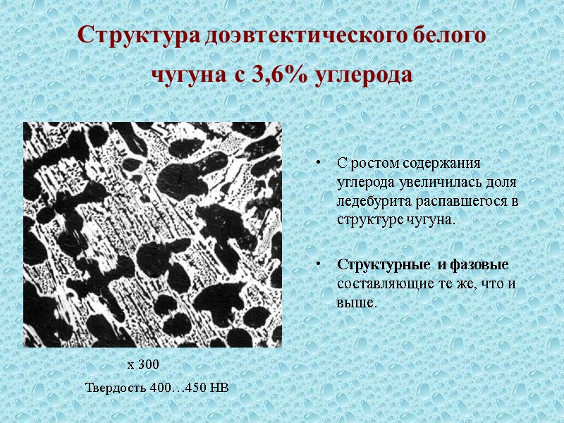 Белая структура. Структура доэвтектического белого чугуна. Структура доэвтектического чугуна. Структурная составляющая доэвтектического чугуна. Структура до евтектического чугуна.