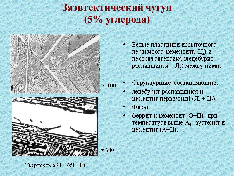 Как называется линия se на диаграмме fe c