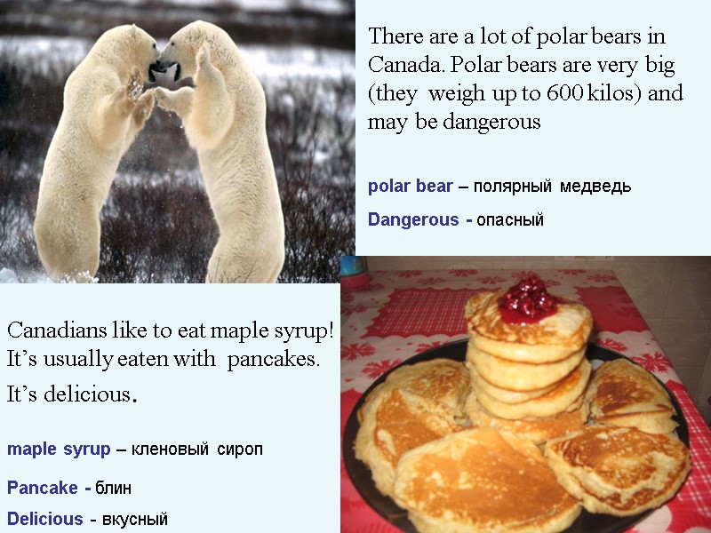 >Canadians like to eat maple syrup! It’s usually eaten with  pancakes. It’s delicious.