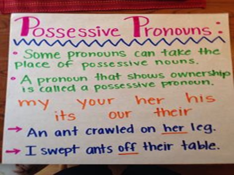 The Pronoun The pronoun is a part of