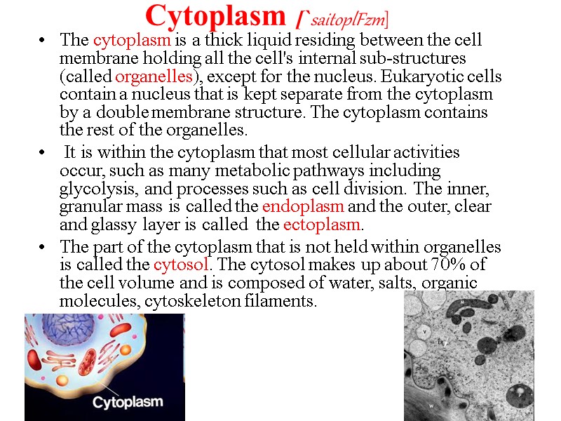 PLANT BIOLOGY IN E N G L I