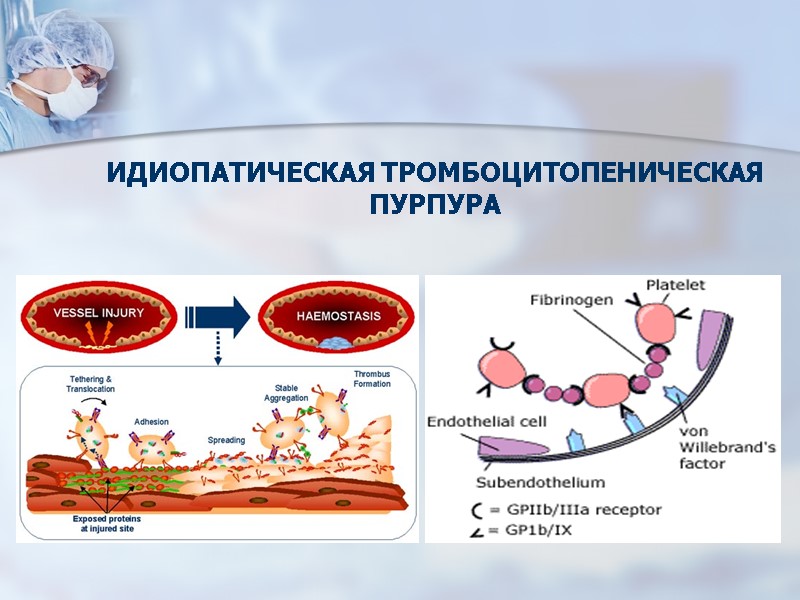 Идиопатическая тромбоцитопеническая пурпура фото