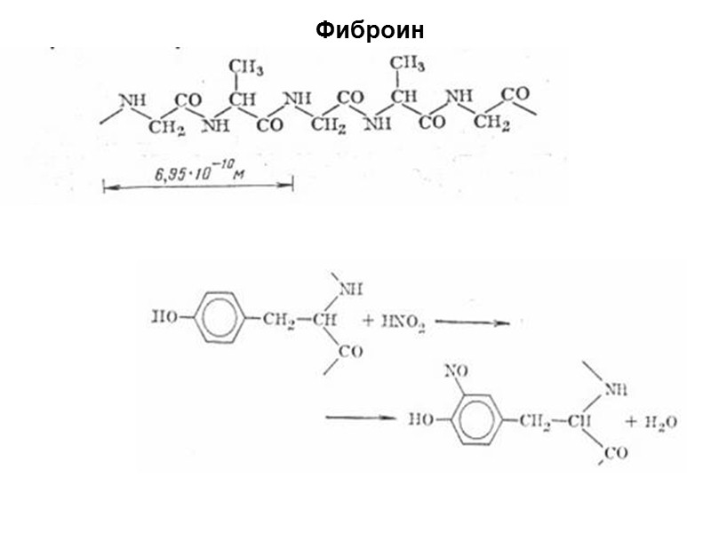 Реакции аминокислот in vivo