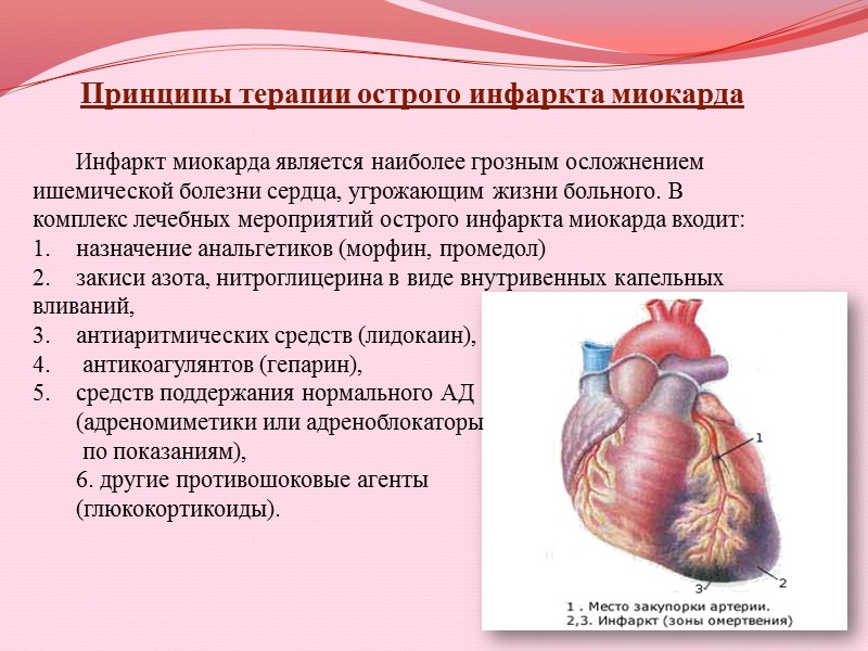 Характерной особенностью сердечных гликозидов является их способность к материальной кумуляции, особенно сильная - у