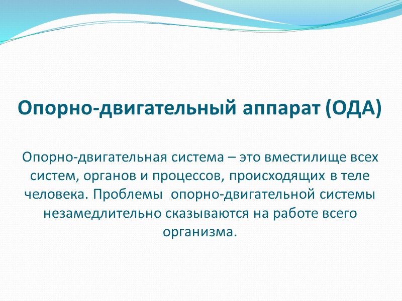 Типы мышц, в зависимости от того, какую работу они выполняют Существуют различные типы мышц,