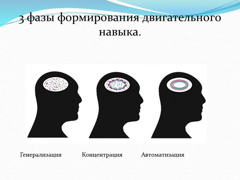 ЖЕЛ складывается из: дыхательного объема легких;  резервного объема вдоха; резервного объема выдоха. 