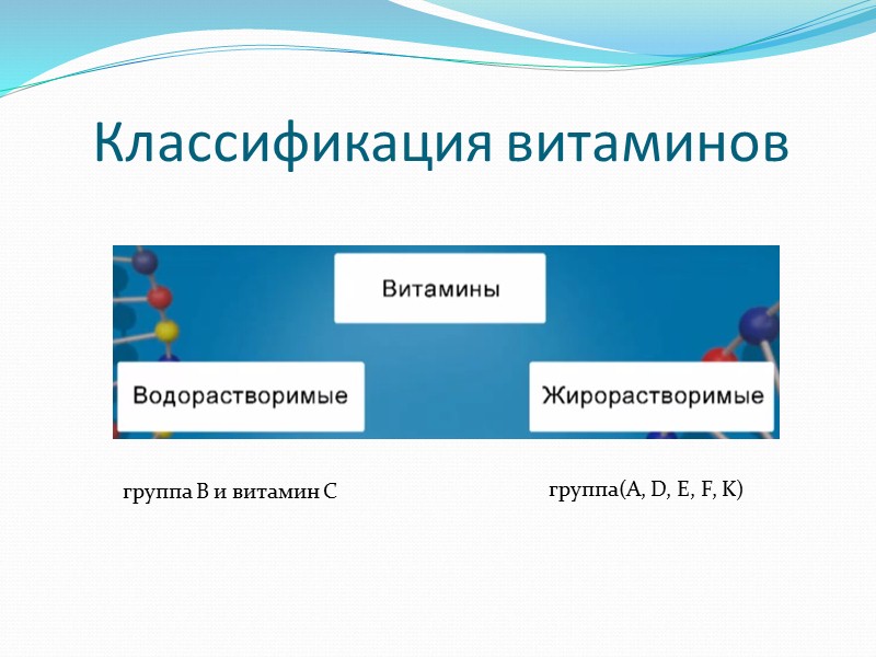 Кислородный долг – количество кислорода, необходимое для окисления продуктов обмена веществ, накопившихся при физической