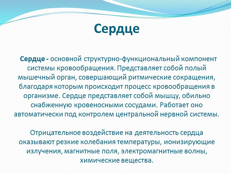 Строение кости Далее идет губчатое вещество, оно заполняет головки костей и состоит из многочисленных