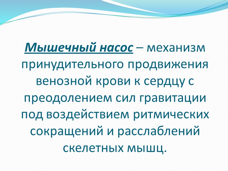 Проверка гибкости позвоночника Для того чтобы проверить гибкость позвоночника, необходимо встать на ступеньку лестницы