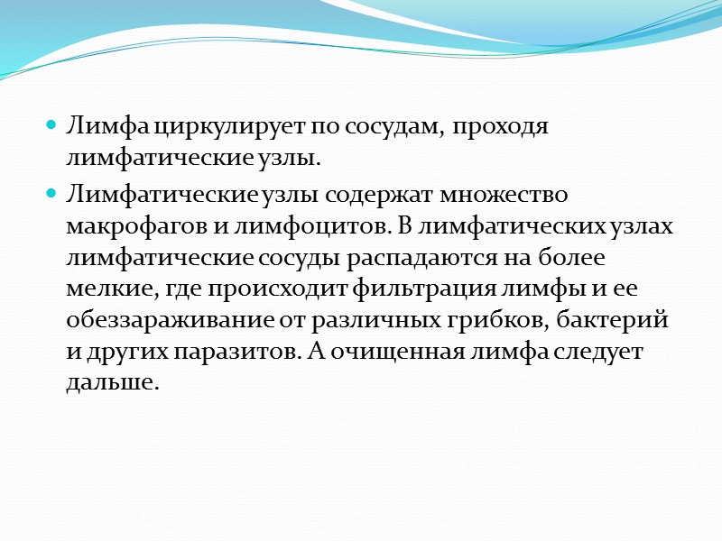 Меры предупреждения плоскостопия: - Ходьба босиком - Ходьба на цыпочках - Ходьба на внешней