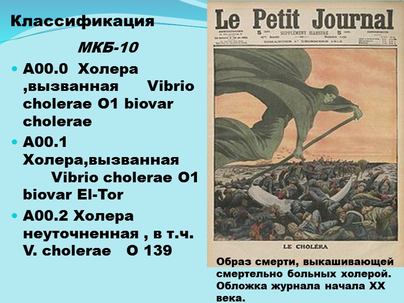 Эпидемиология Резервуар инфекции - вода открытых водоемов и их гидробионты( бассейны Черного, Азовского морей