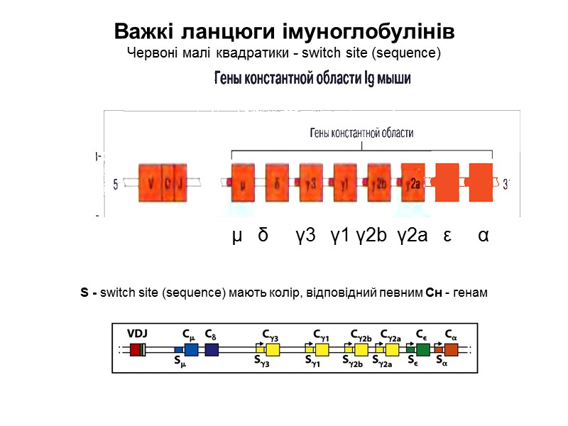 Додатки