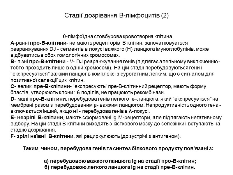 Утворення легких λ- ланцюгів імуноглобулінів