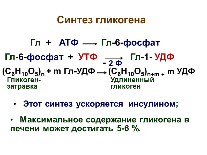 Глюкоза углекислый газ вода атф