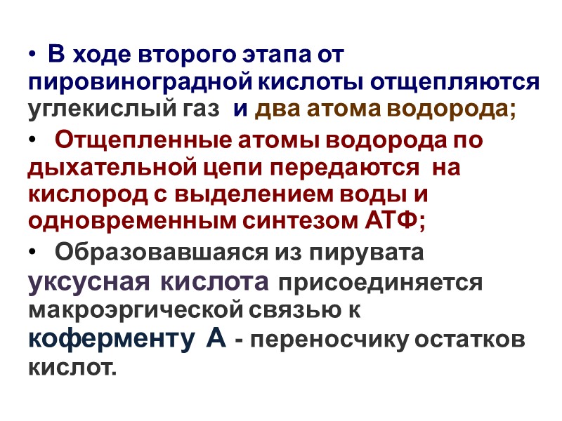 Между приемами пищи в печени гликоген распадается и превращается в глюкозу, которая легко из