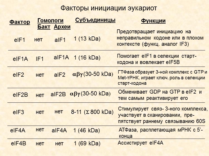 Факторы трансляции - одно- или многосубъединичные белки, подразделяющиеся на  факторы инициации (IF), 