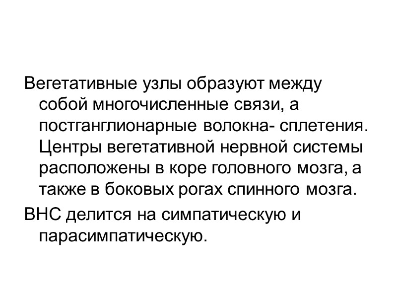 ПА сливаются и образуют основную артерию, которая потом разделяется на 2 задне-мозговые артерии. До