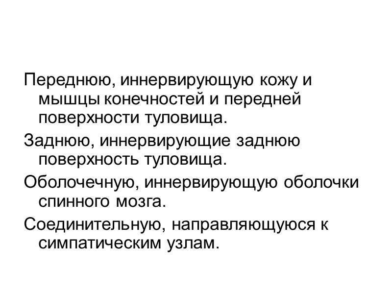 Парасимпатическая нервная система представлена структурными образованиями в мозговом стволе и спинном мозге.