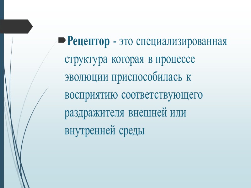 Тактильный анализатор  Тактильный анализатор обеспечивает восприятие и анализ информации с рецепторов кожи, видимых