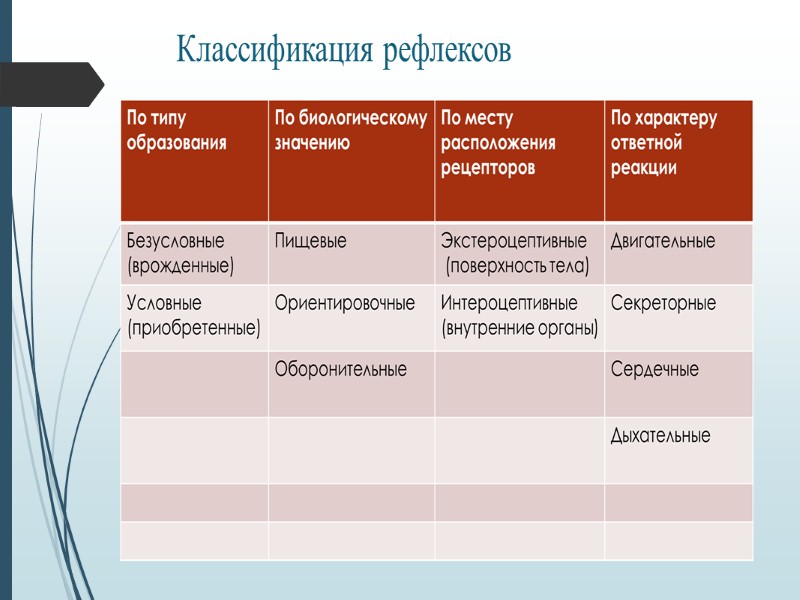 Топографически нервную систему подразделяют на центральную (ЦНС) и периферическую.  К центральной нервной системе