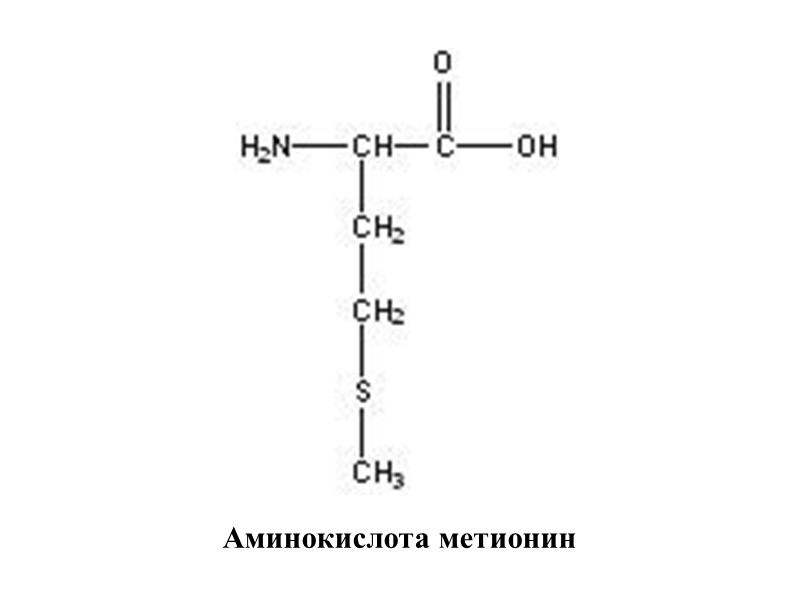 Метионин какая аминокислота. Метионин формула аминокислоты. Метионин строение. Метионин структурная формула. Метионин строение аминокислоты.