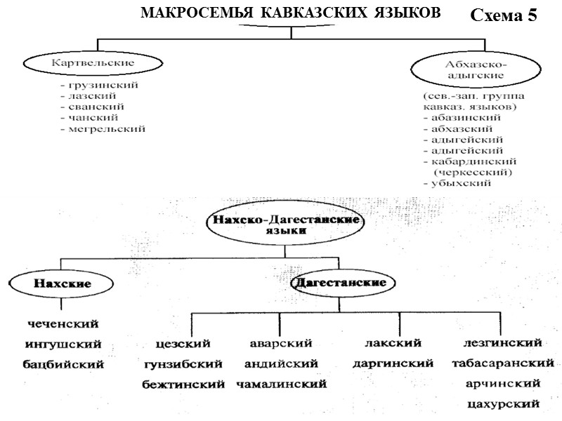 Схема 7 МАКРОСЕМЬЯ НИЛО-САХАРСКИХ ЯЗЫКОВ Нило-сахарские языки шари-нильские сахарские сонгай