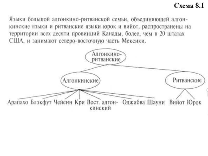 В 60-х гг. 19 в. в трудах А.Шлейхера сохранены в основном все классы Т.