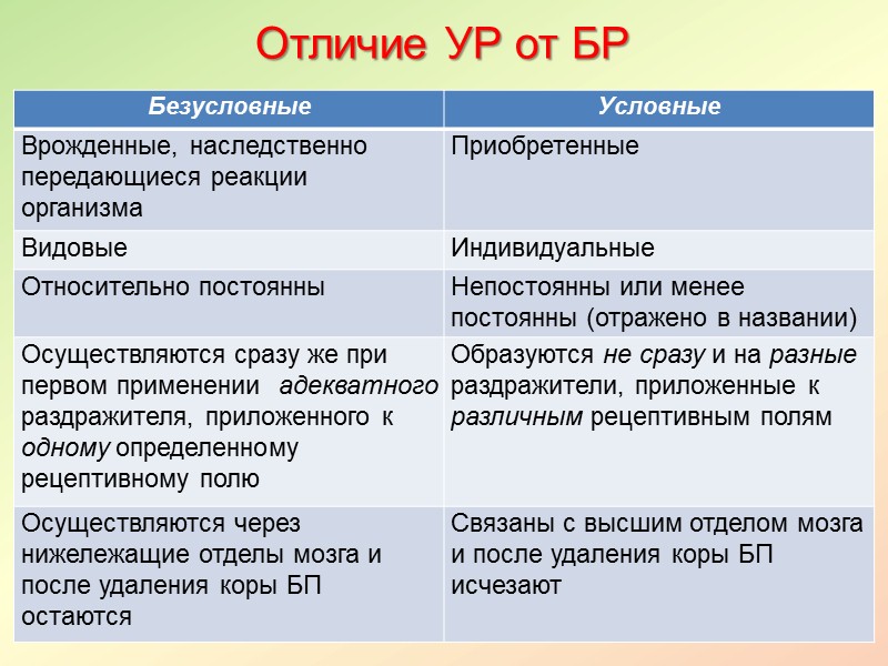У маленьких детей – высокая чувствительность нервных центров к гипоксии, воздействию ядов. Пластическая функция