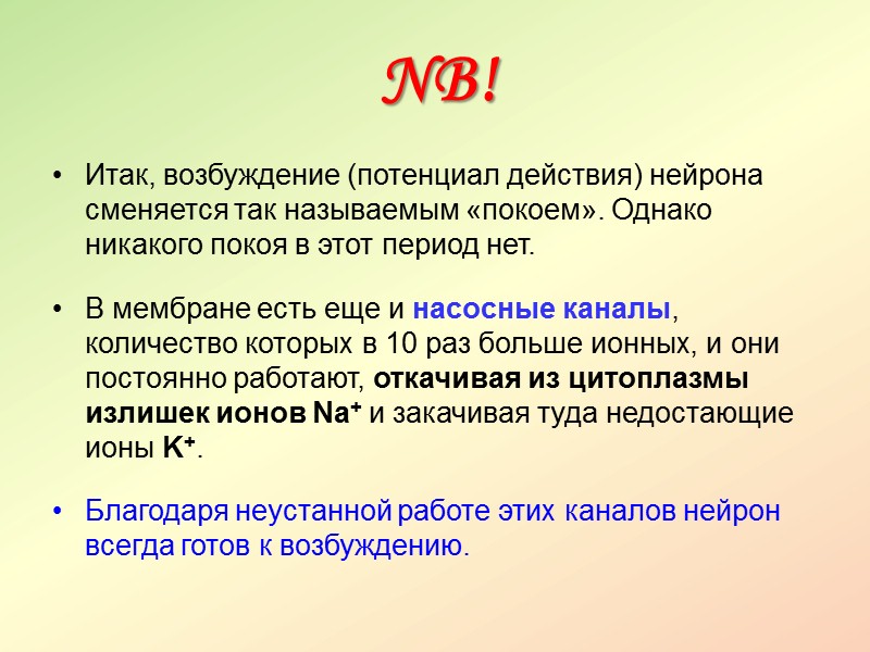 Виды нейронов:  чувствительные (афферентные) – для анализа сигнала от рецептора,  исполнительные нейроны