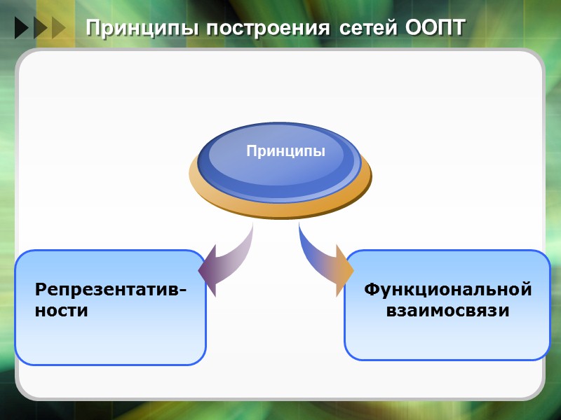 «Заповедники должны давать широкие и поучительные картины той естественной гармонии и того естественного развития,