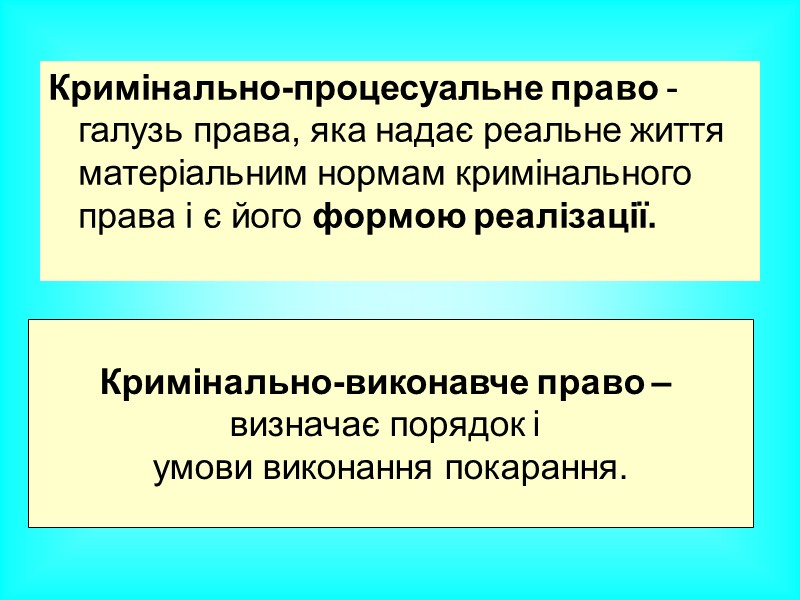 Функція охорони Функція превенції (попередження) Правове забезпечення охорони найважливіших, суттєвих правових відносин Загальна превенція Функція охорони Функція превенції (попередження) Правове забезпечення охорони найважливіших, суттєвих правових відносин Загальна превенція