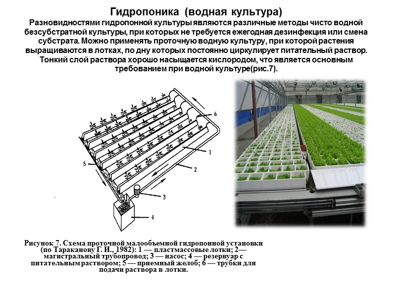 22 Промышленное выращивание овощных культур методом гидропоники в тепличных хозяйствах РФ и стран СНГ
